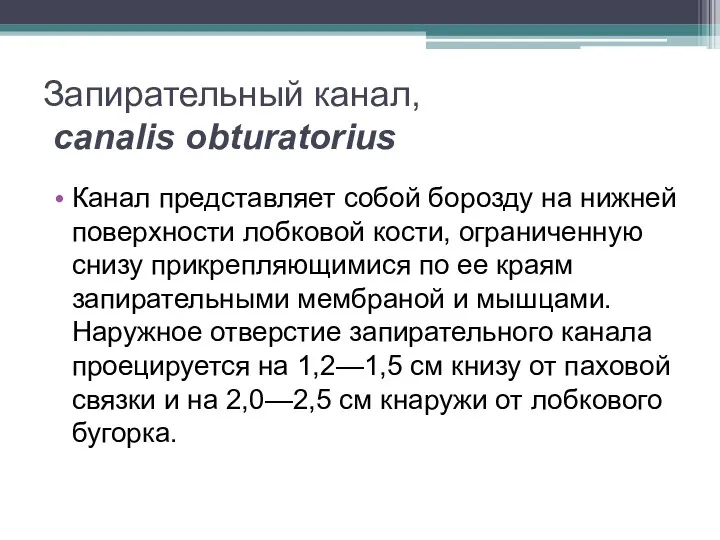 Запирательный канал, canalis obturatorius Канал представляет собой борозду на нижней