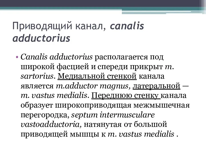 Приводящий канал, canalis adductorius Canalis adductorius располагается под широкой фасцией