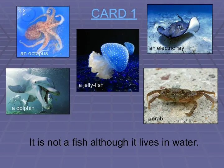 CARD 1 It is not a fish although it lives
