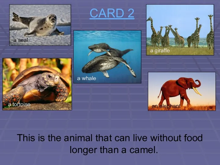 CARD 2 This is the animal that can live without