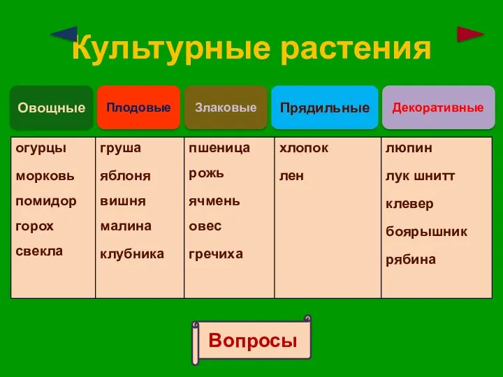 Культурные растения Овощные Плодовые Злаковые Прядильные Декоративные Вопросы