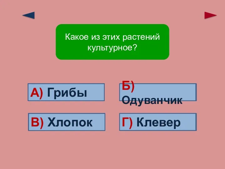 Верно! В) Хлопок Ошибка! Ошибка! Ошибка! Б) Одуванчик Г) Клевер