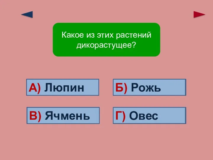 Ошибка! Ошибка! Ошибка! Верно! Г) Овес Б) Рожь В) Ячмень