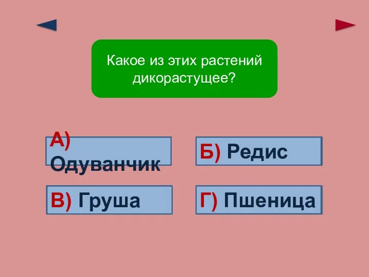 Ошибка! Ошибка! Ошибка! Верно! Г) Пшеница Б) Редис В) Груша А)Одуванчик Какое из этих растений дикорастущее?