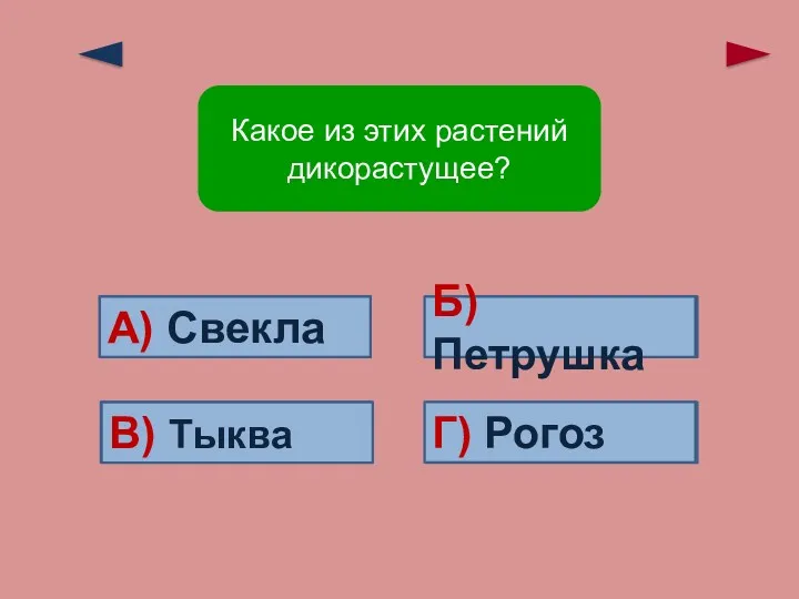 Ошибка! Ошибка! Ошибка! А) Свекла В) Тыква Б) Петрушка Верно!