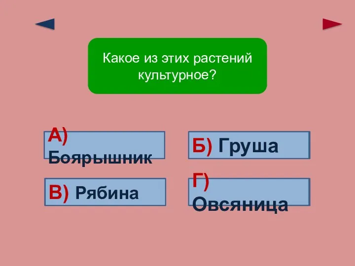 Ошибка! Верно! Ошибка! Ошибка! А)Боярышник В) Рябина Г) Овсяница Б) Груша Какое из этих растений культурное?