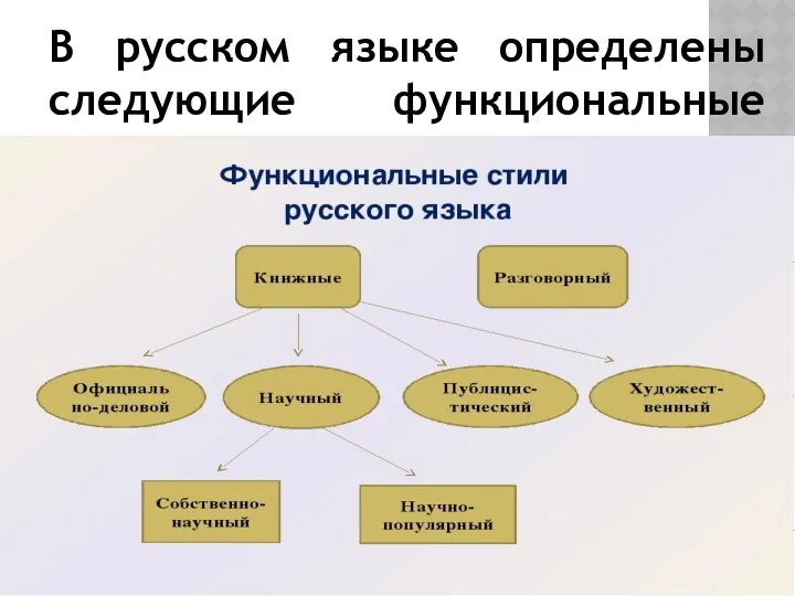 В русском языке определены следующие функциональные стили: