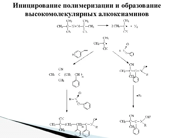 Иницирование полимеризации и образование высокомолекулярных алкоксиаминов