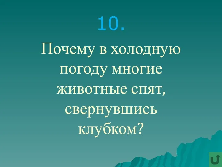 10. Почему в холодную погоду многие животные спят, свернувшись клубком?