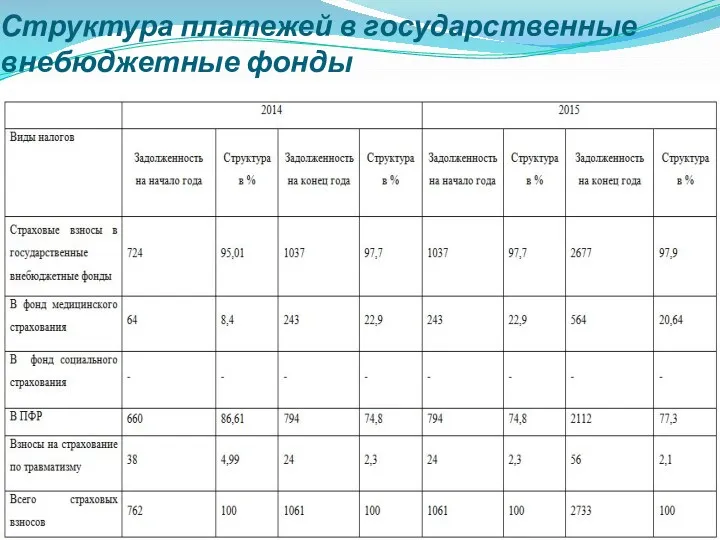 Структура платежей в государственные внебюджетные фонды