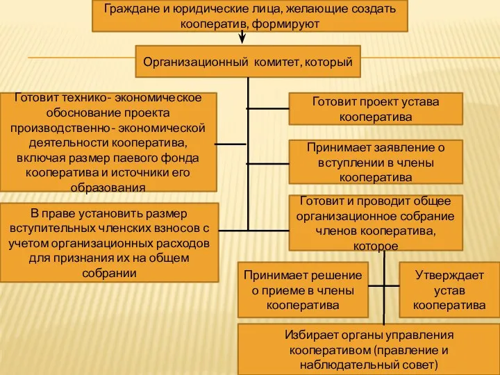 Готовит технико- экономическое обоснование проекта производственно- экономической деятельности кооператива, включая