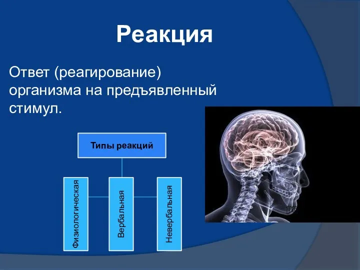 Реакция Ответ (реагирование) организма на предъявленный стимул.