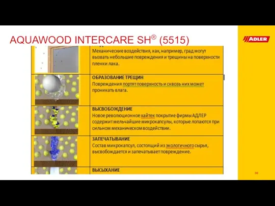 AQUAWOOD INTERCARE SH® (5515)