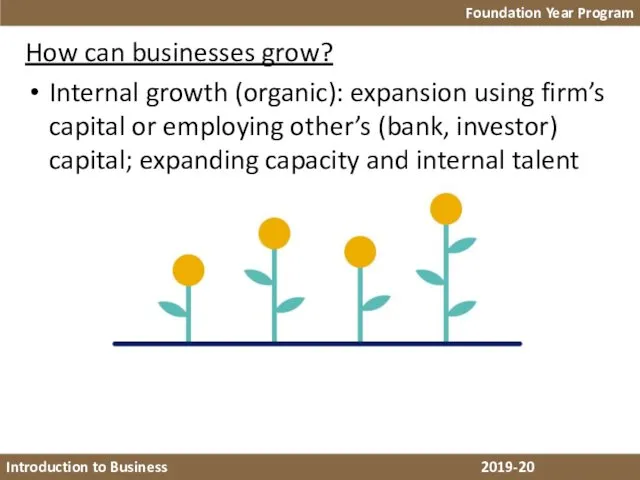 How can businesses grow? Internal growth (organic): expansion using firm’s