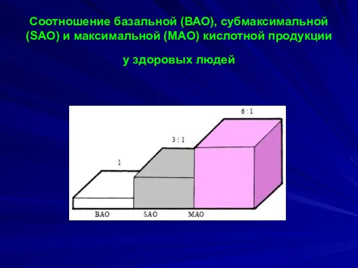 Соотношение базальной (ВАО), субмаксимальной (SAO) и максимальной (MAO) кислотной продукции у здоровых людей