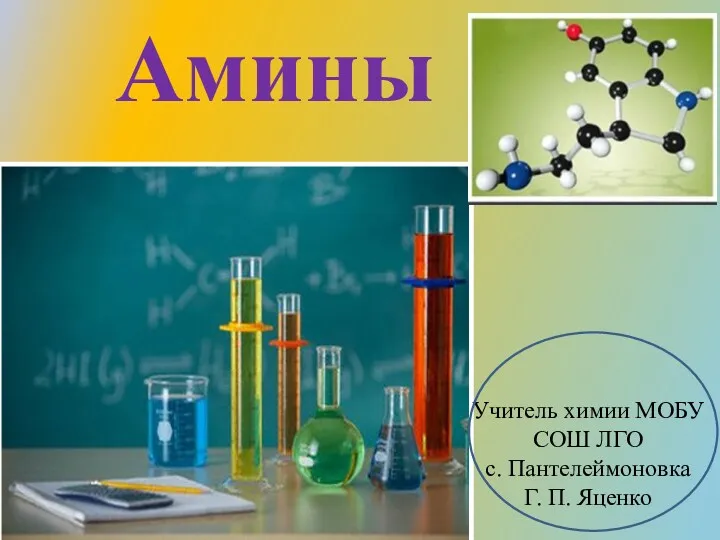 Азотсодержащие вещества. Амины