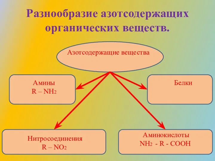 Разнообразие азотсодержащих органических веществ. Азотсодержащие вещества Амины R – NH2