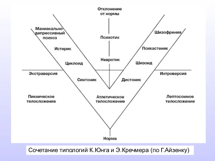 Сочетание типологий К.Юнга и Э.Кречмера (по Г.Айзенку)