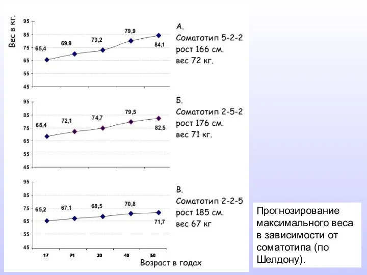 Прогнозирование максимального веса в зависимости от соматотипа (по Шелдону).