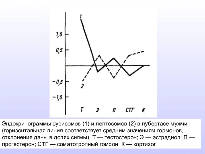 Эндокринограммы эурисомов (1) и лептосомов (2) в пубертасе мужчин (горизонтальная