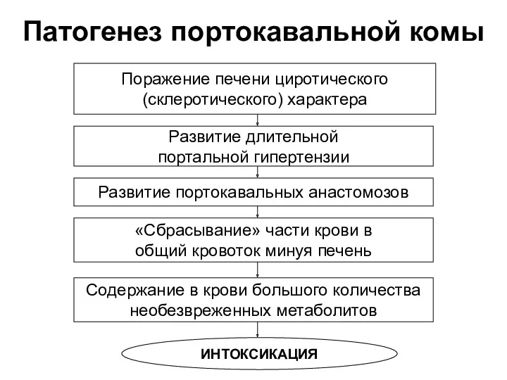 Патогенез портокавальной комы Поражение печени циротического (склеротического) характера Развитие длительной