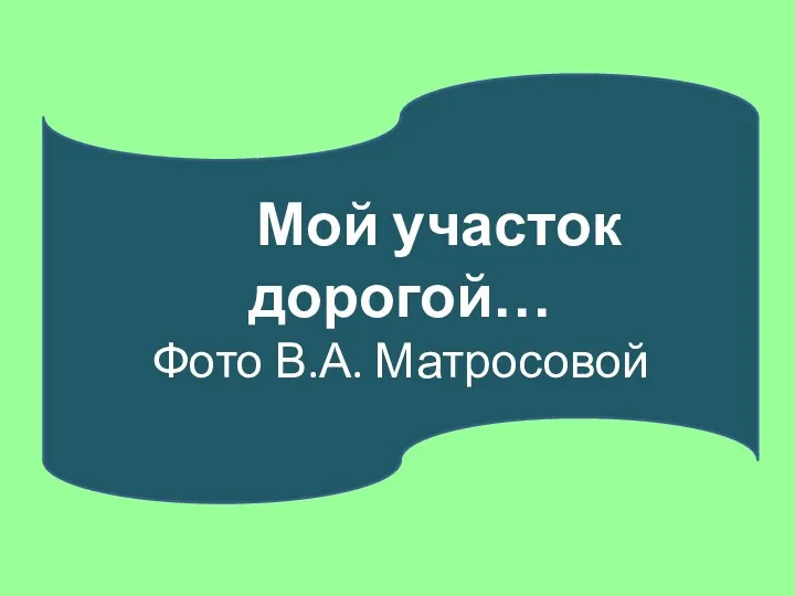 Мой участок дорогой