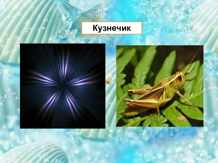 Кузнечик