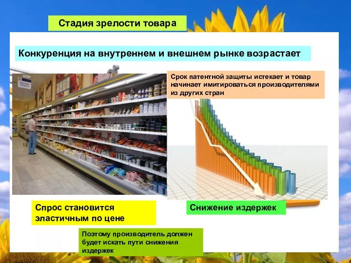 Стадия зрелости товара Конкуренция на внутреннем и внешнем рынке возрастает