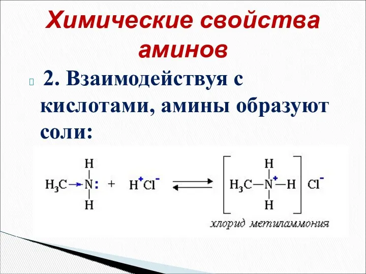 2. Взаимодействуя с кислотами, амины образуют соли: Химические свойства аминов
