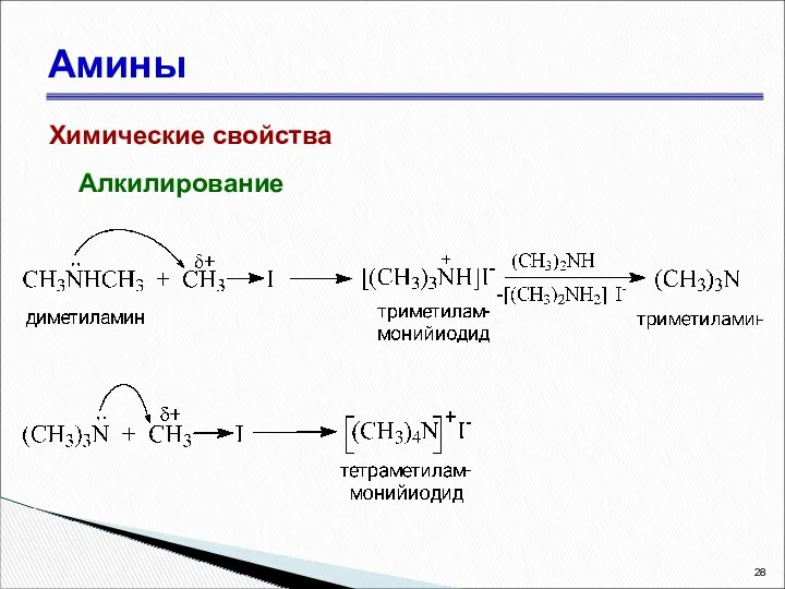 Амины Химические свойства Алкилирование