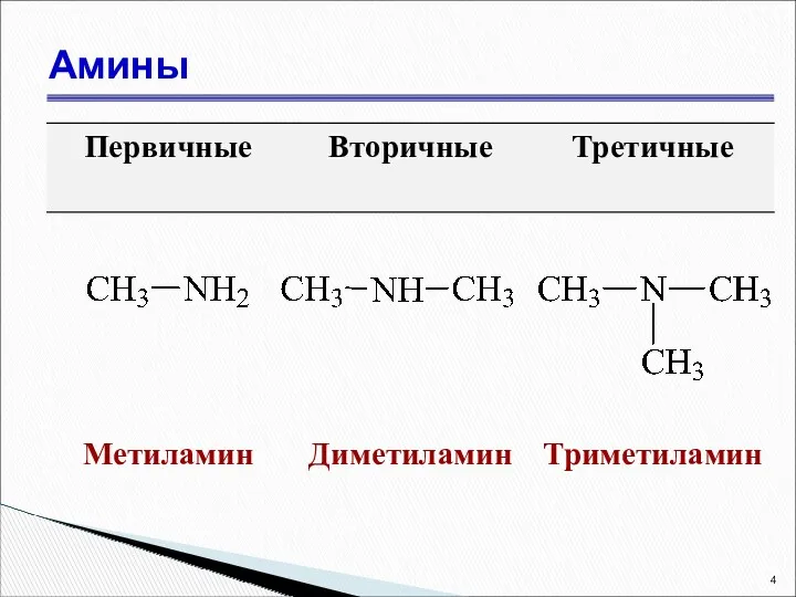 Амины