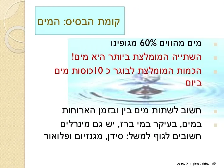 קומת הבסיס: המים מים מהווים 60% מגופינו השתייה המומלצת ביותר היא מים! הכמות