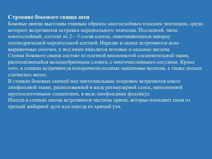 Строение бокового свища шеи Боковые свищи выстланы главным образом многослойным