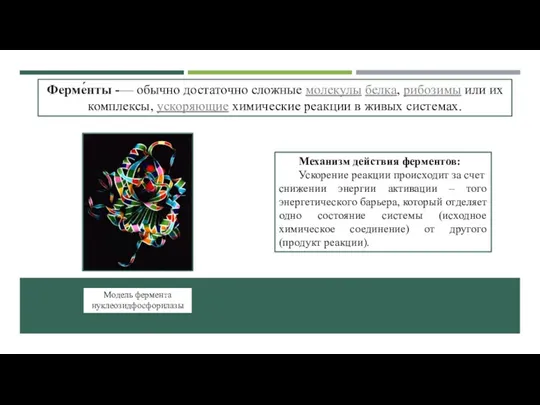 Ферме́нты -— обычно достаточно сложные молекулы белка, рибозимы или их