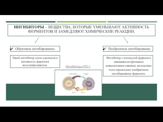 ИНГИБИТОРЫ – ВЕЩЕСТВА, КОТОРЫЕ УМЕНЬШАЮТ АКТИВНОСТЬ ФЕРМЕНТОВ И ЗАМЕДЛЯЮТ ХИМИЧЕСКИЕ