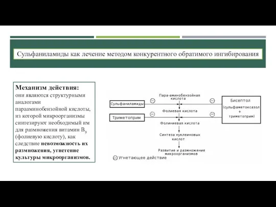 Сульфаниламиды как лечение методом конкурентного обратимого ингибирования Механизм действия: они