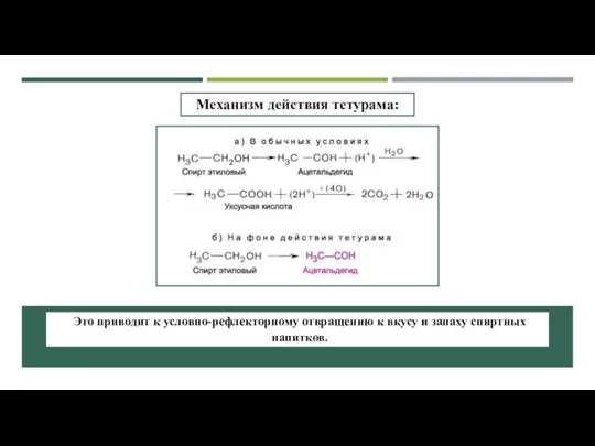 Механизм действия тетурама: Это приводит к условно-рефлекторному отвращению к вкусу и запаху спиртных напитков.