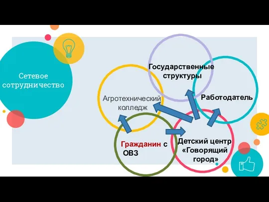 Сетевое сотрудничество Агротехнический колледж Гражданин с ОВЗ Работодатель Детский центр «Говорящий город» Государственные структуры