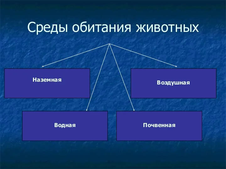 Среды обитания животных Наземная Воздушная Почвенная Водная