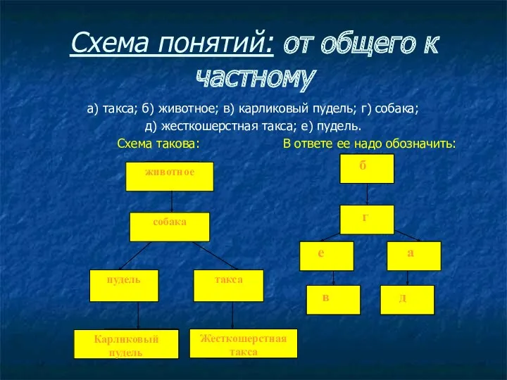 Схема понятий: от общего к частному а) такса; б) животное;