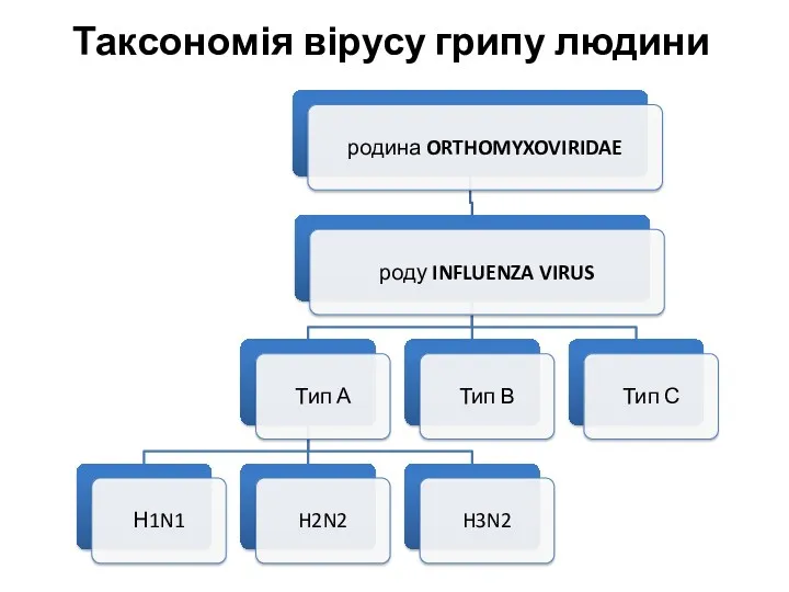 Таксономія вірусу грипу людини