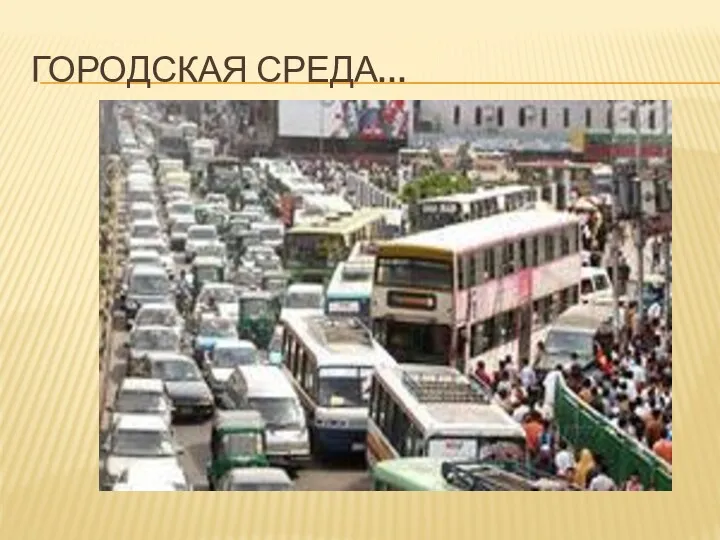 ГОРОДСКАЯ СРЕДА…