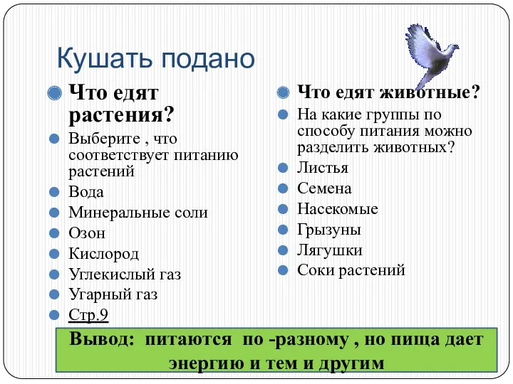 Кушать подано Что едят растения? Выберите , что соответствует питанию