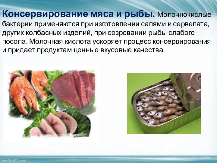 Консервирование мяса и рыбы. Молочнокислые бактерии применяются при изготовлении салями