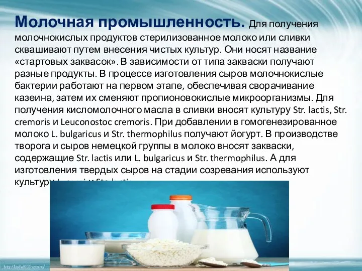 Молочная промышленность. Для получения молочнокислых продуктов стерилизованное молоко или сливки