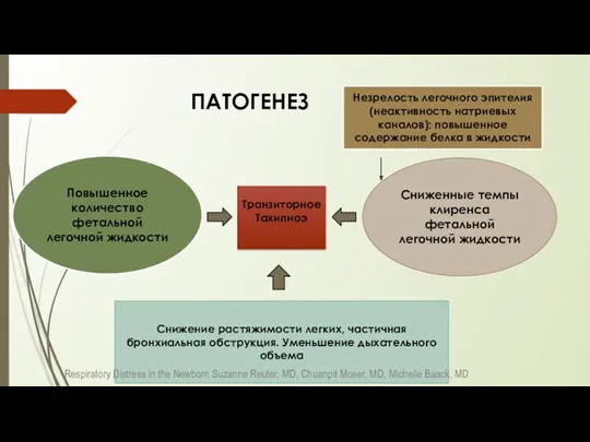 ПАТОГЕНЕЗ Повышенное количество фетальной легочной жидкости Сниженные темпы клиренса фетальной