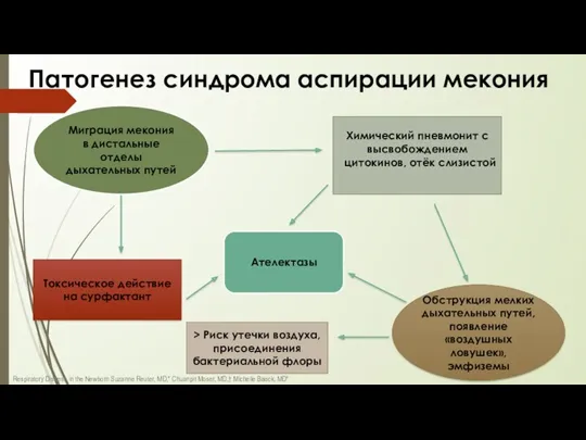 Патогенез синдрома аспирации мекония Миграция мекония в дистальные отделы дыхательных