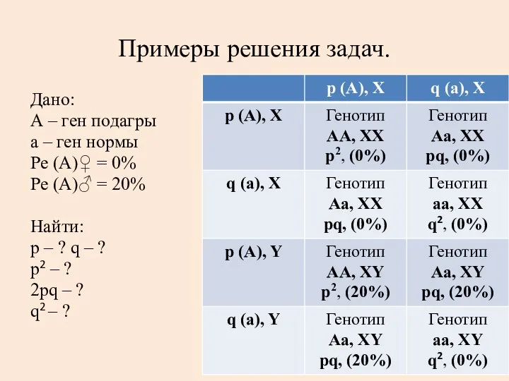 Примеры решения задач. Дано: А – ген подагры а –