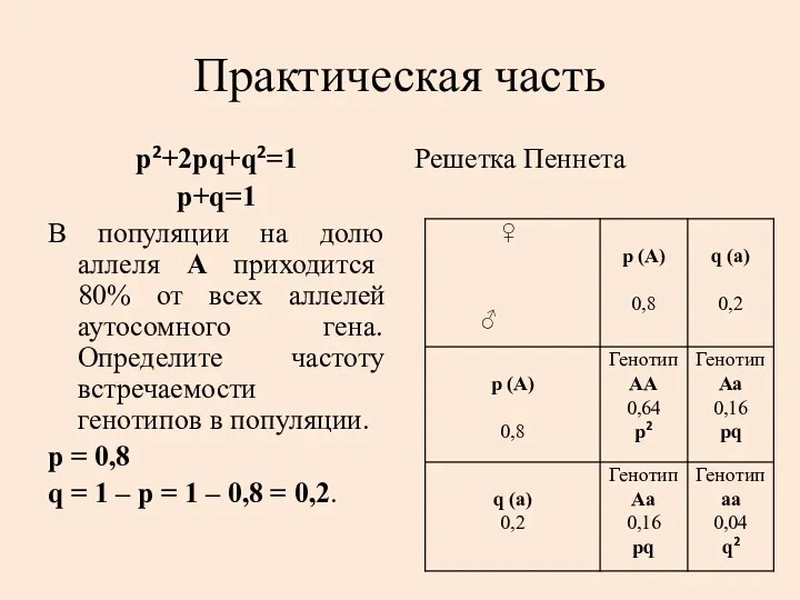 Практическая часть p2+2pq+q2=1 р+q=1 В популяции на долю аллеля А