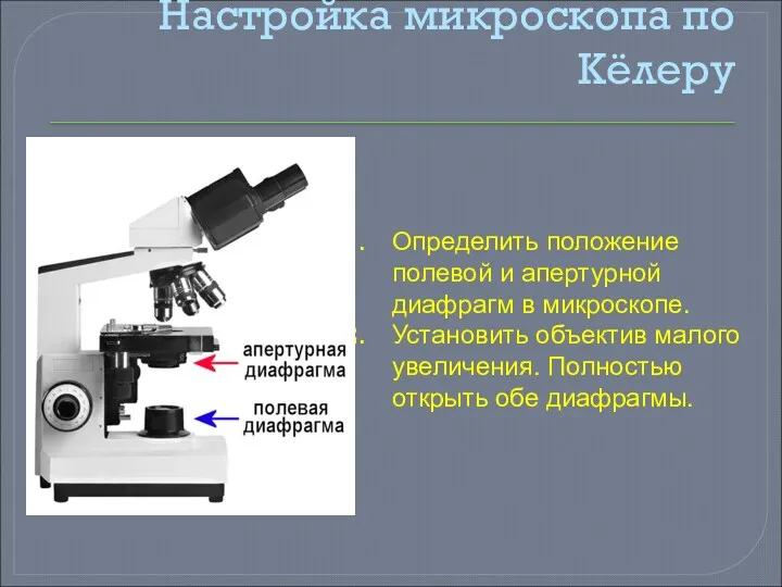 Настройка микроскопа по Кёлеру Определить положение полевой и апертурной диафрагм в микроскопе. Установить